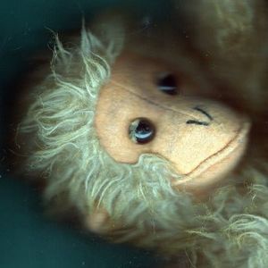 Meet your Posher, Michell